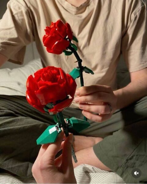 Konstruktorius 'Rose'