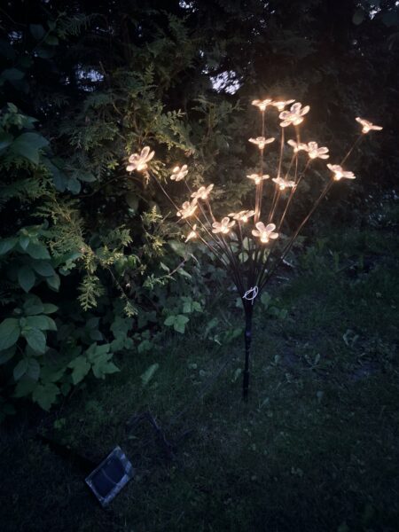LED-šviečiantis-sodo-krūmelis