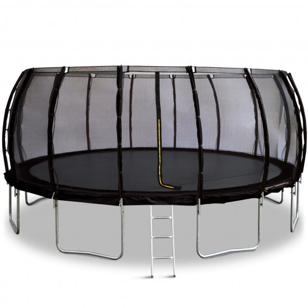 Batutas tamsus 'Colosseum' 550cm