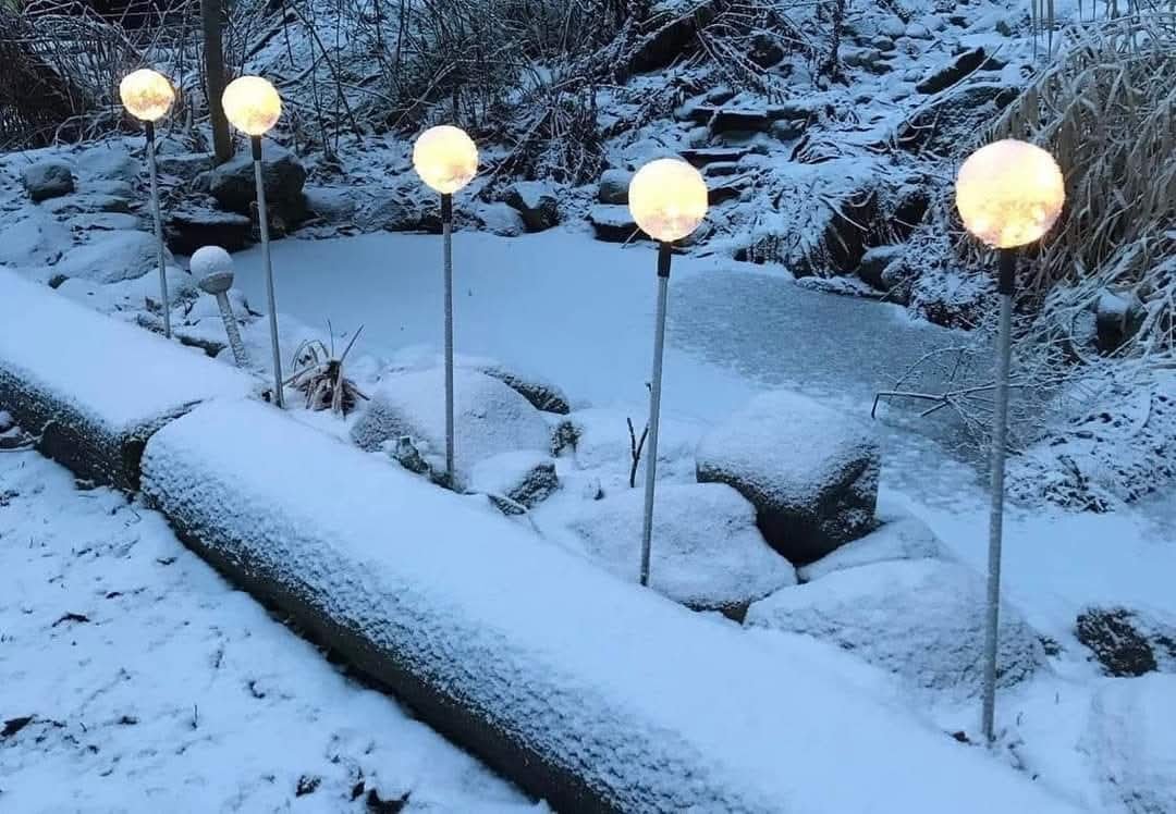 Lauko dekoracija 'Deco' - Vaizdas 4