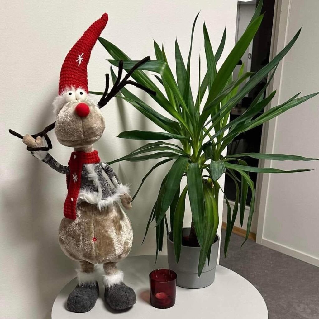šventinė dekoracija elnias rudolfas 87cm