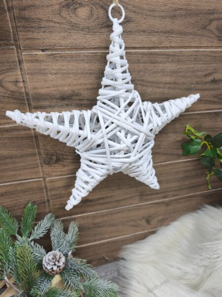 Dekoratyvinė žvaigždė 'Rustic White' - Vaizdas 2