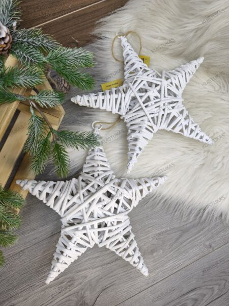 Dekoratyvinė žvaigždė 'Rustic White' - Vaizdas 4