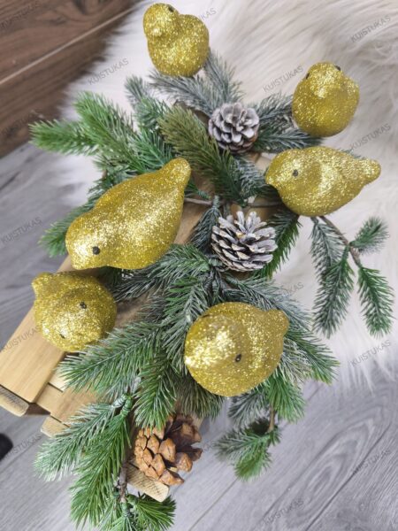 Dekoratyviniai paukščiai ‘Gold Birds’ - Vaizdas 3