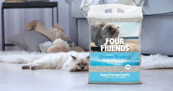 Kraikas 'Four Friends Ocean Breeze' - Vaizdas 2