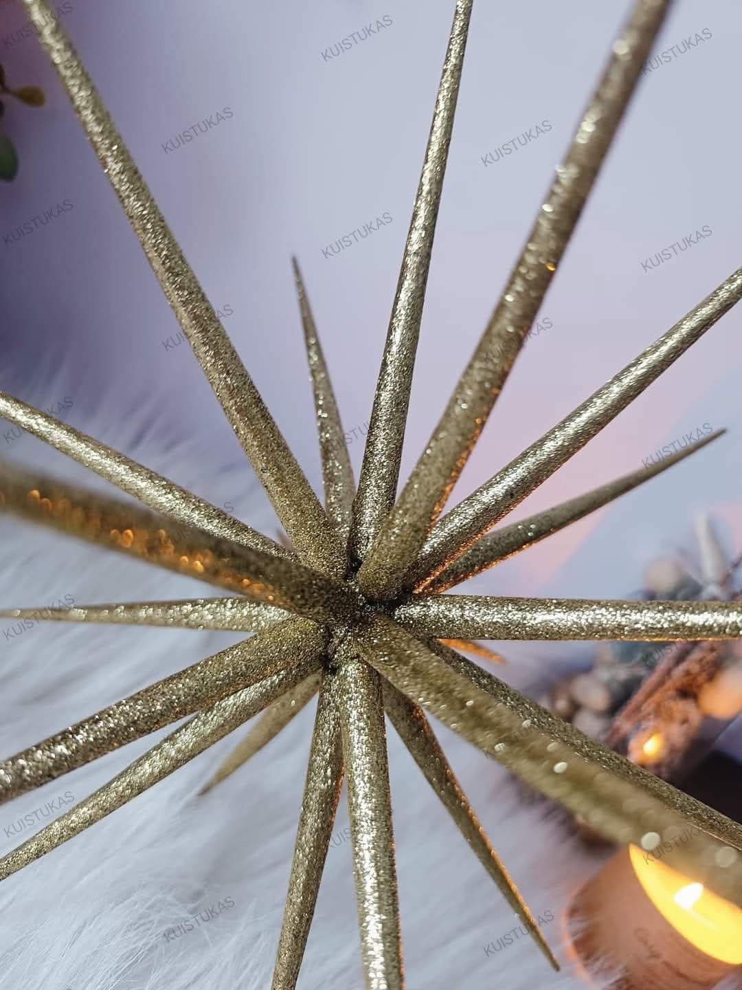 Dekoracinė žvaigždė 'Golden Sparkle' - Vaizdas 7