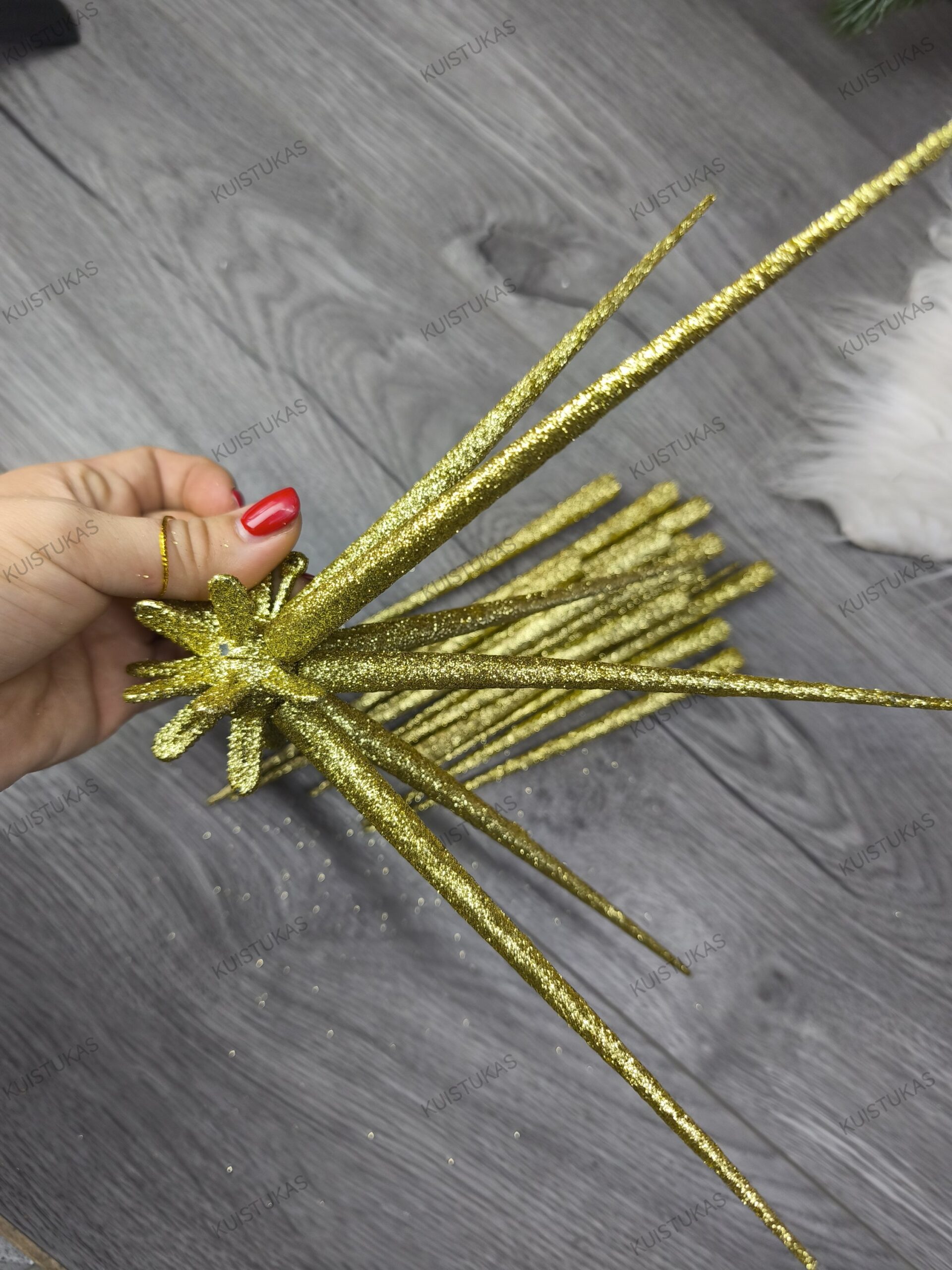 Dekoracinė žvaigždė 'Golden Sparkle' - Vaizdas 5