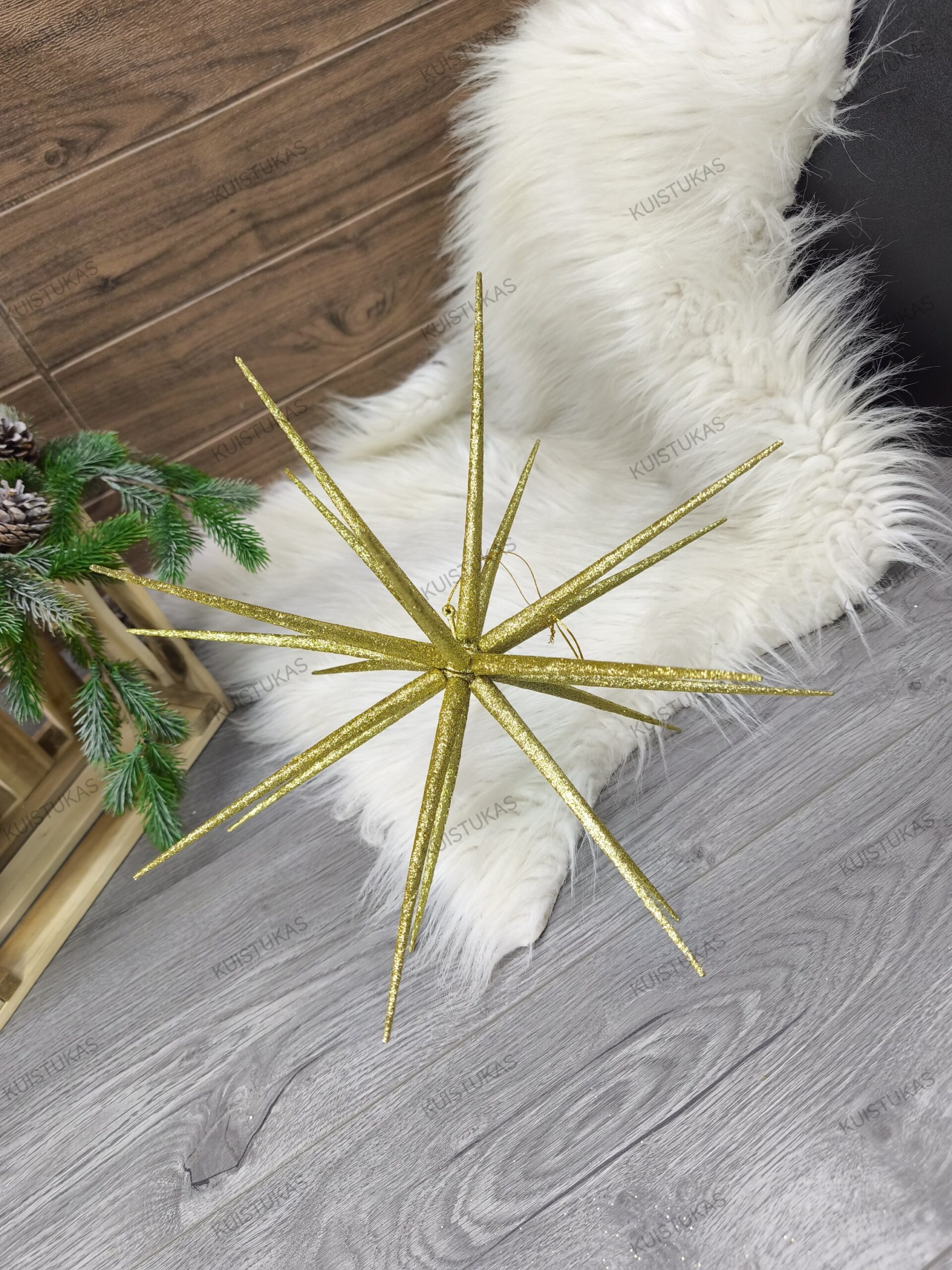 Dekoracinė žvaigždė 'Golden Sparkle' - Vaizdas 3