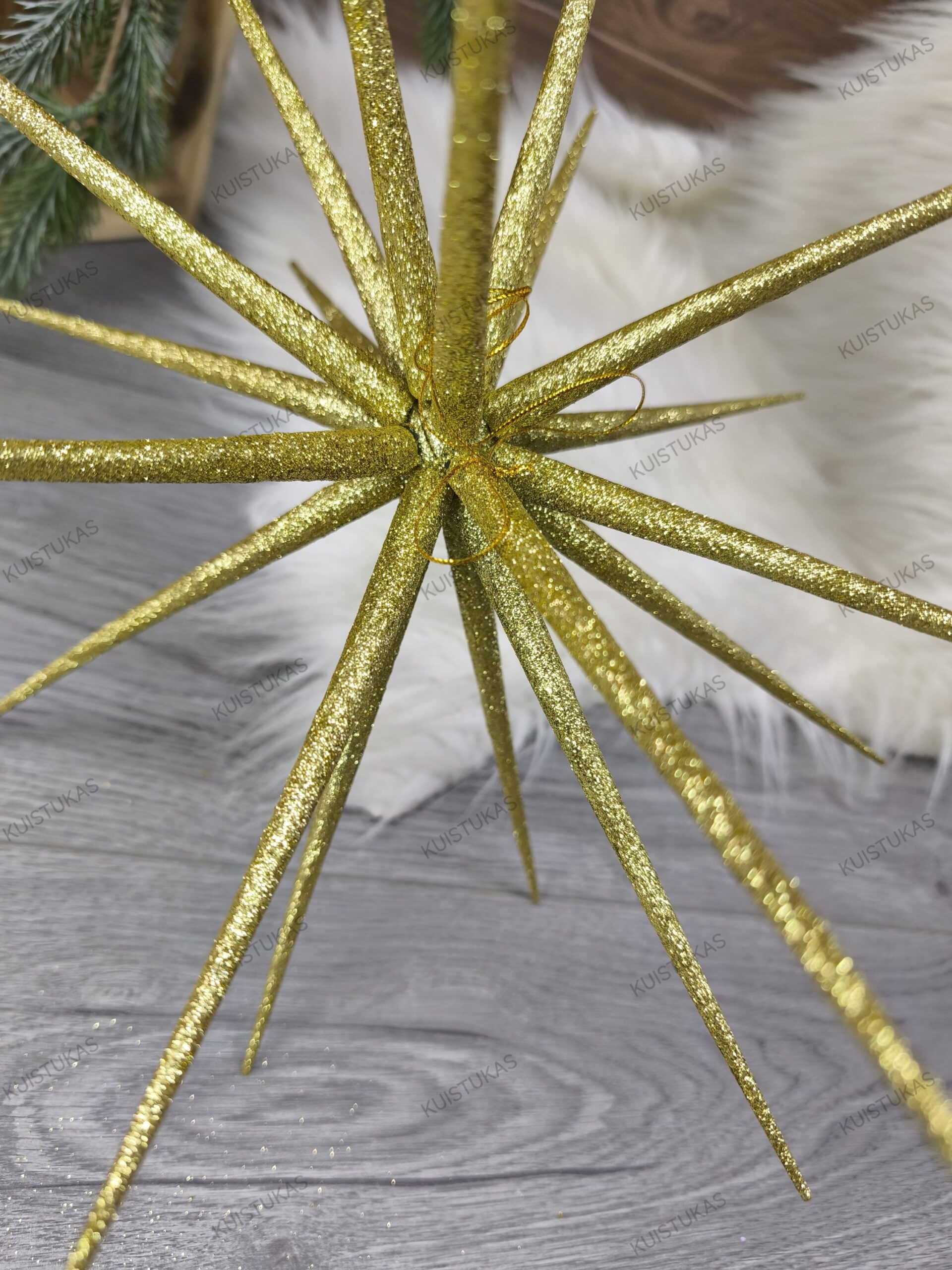 Dekoracinė žvaigždė 'Golden Sparkle' - Vaizdas 2