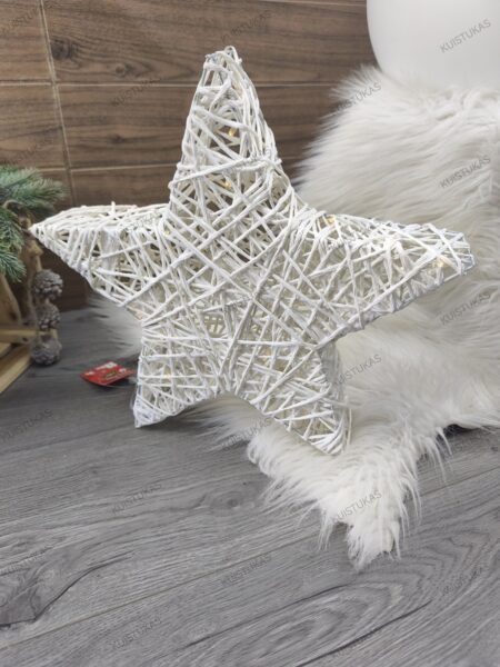 Dekoratyvinė žvaigždė 'White Star Glow'