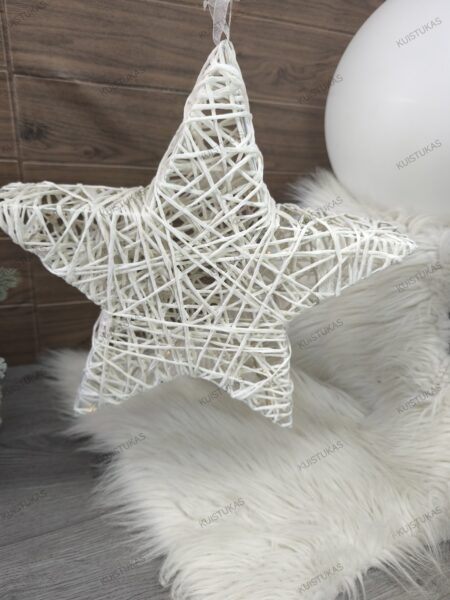 Dekoratyvinė žvaigždė 'White Star Glow' - Vaizdas 2