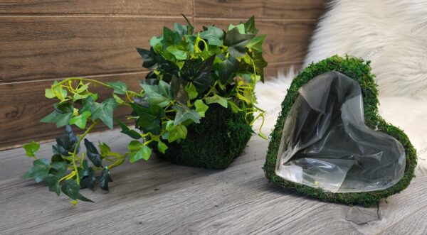 Dekoratyvinis vazonų komplektas 'Green Heart'