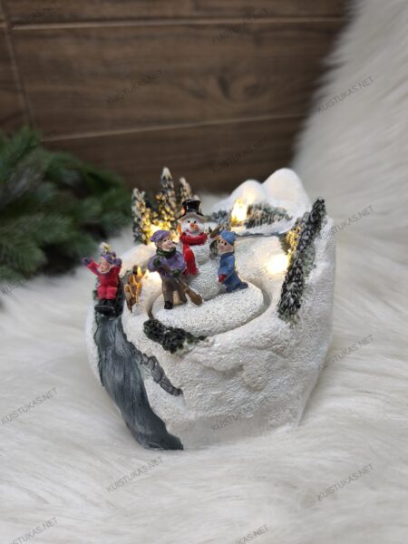 Dekoratyvinis peizažas 'Winterville' - Vaizdas 5