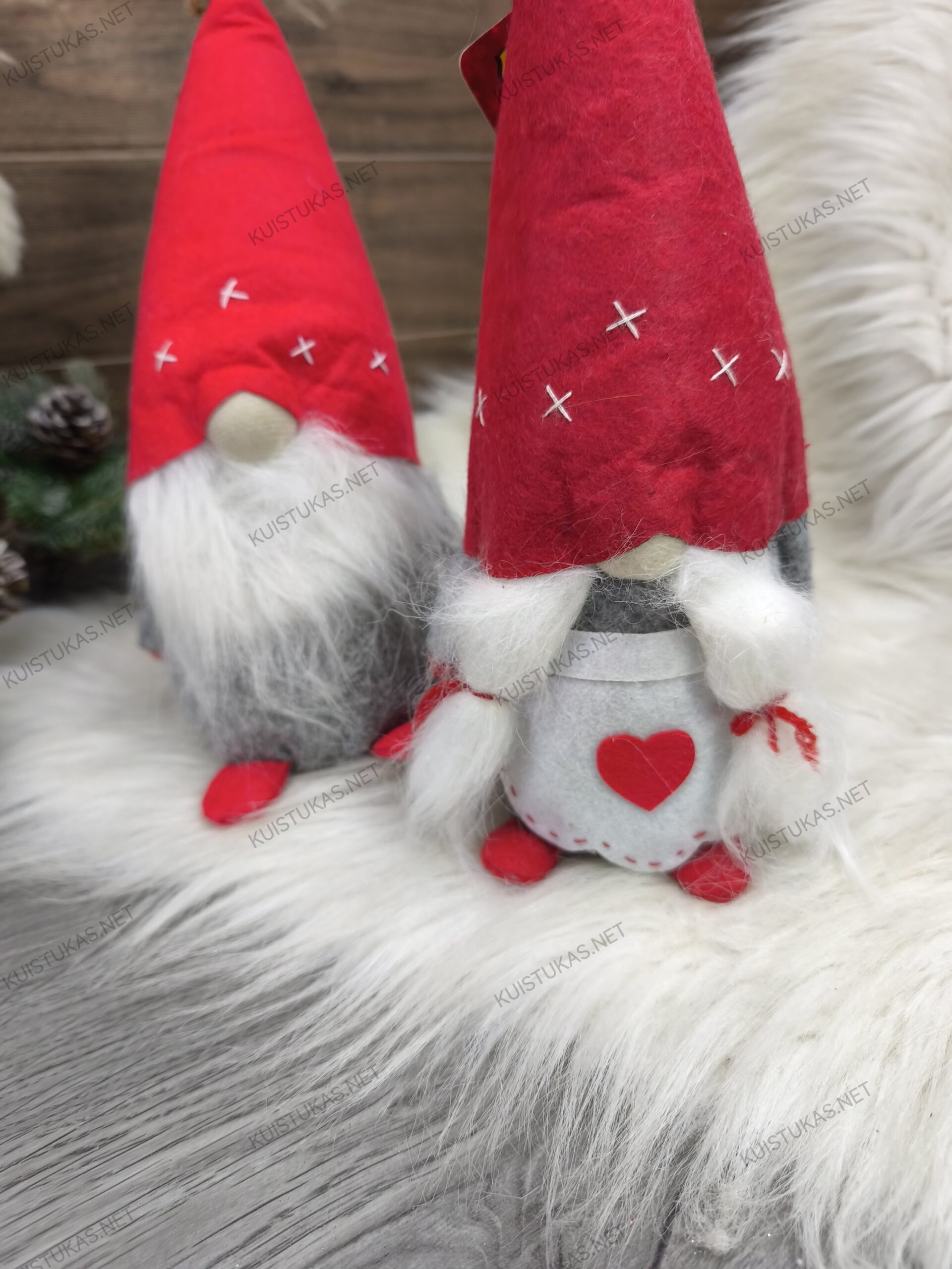 Dekoratyviniai nykštukai 'Heartfolk' - Vaizdas 2