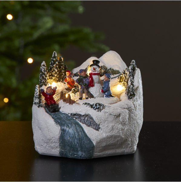 Dekoratyvinis peizažas 'Winterville'