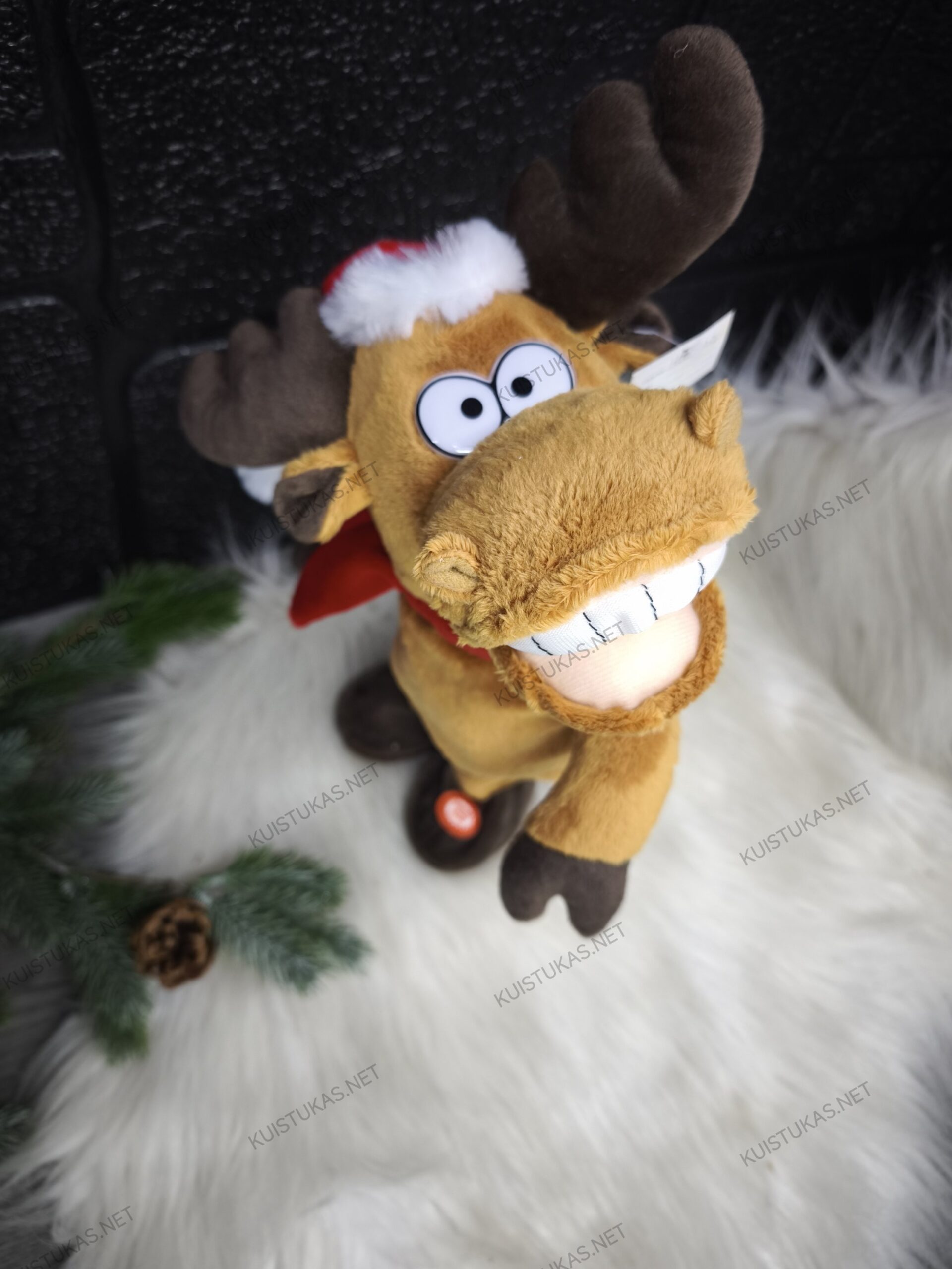 Muzikinis briedis su judesiu