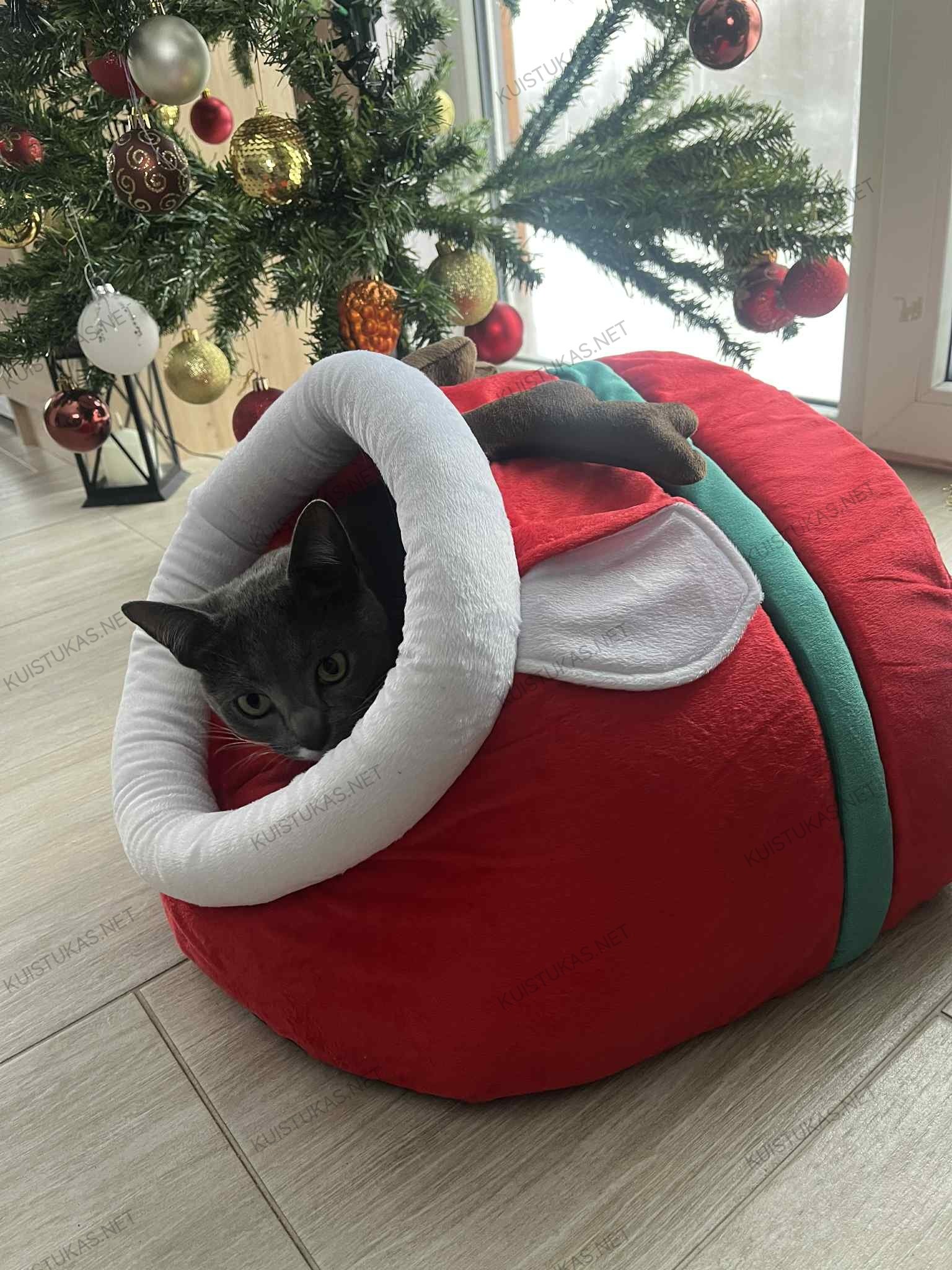 Kalėdinis gultas augintiniams