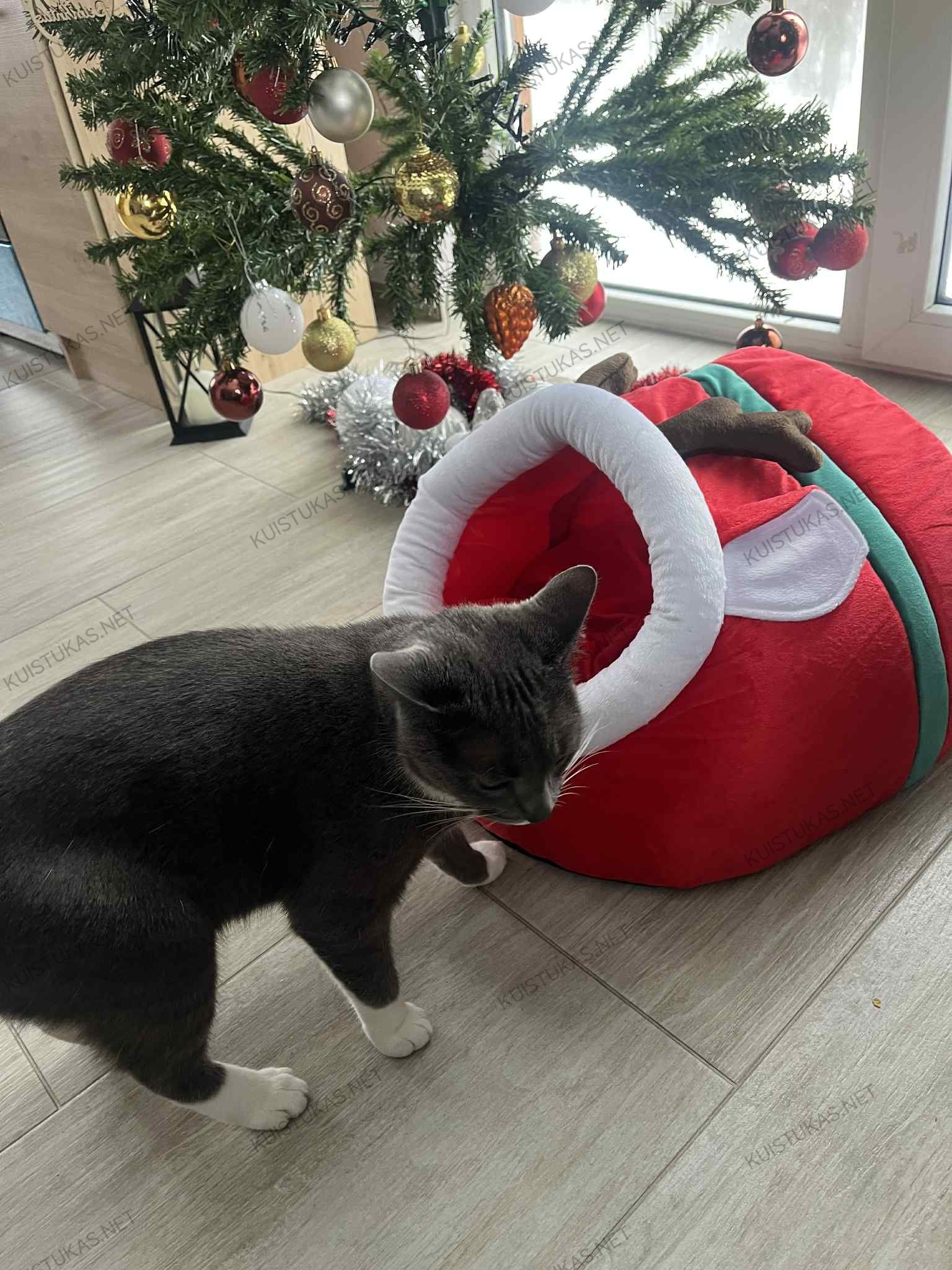 Kalėdinis gultas augintiniams - Vaizdas 6