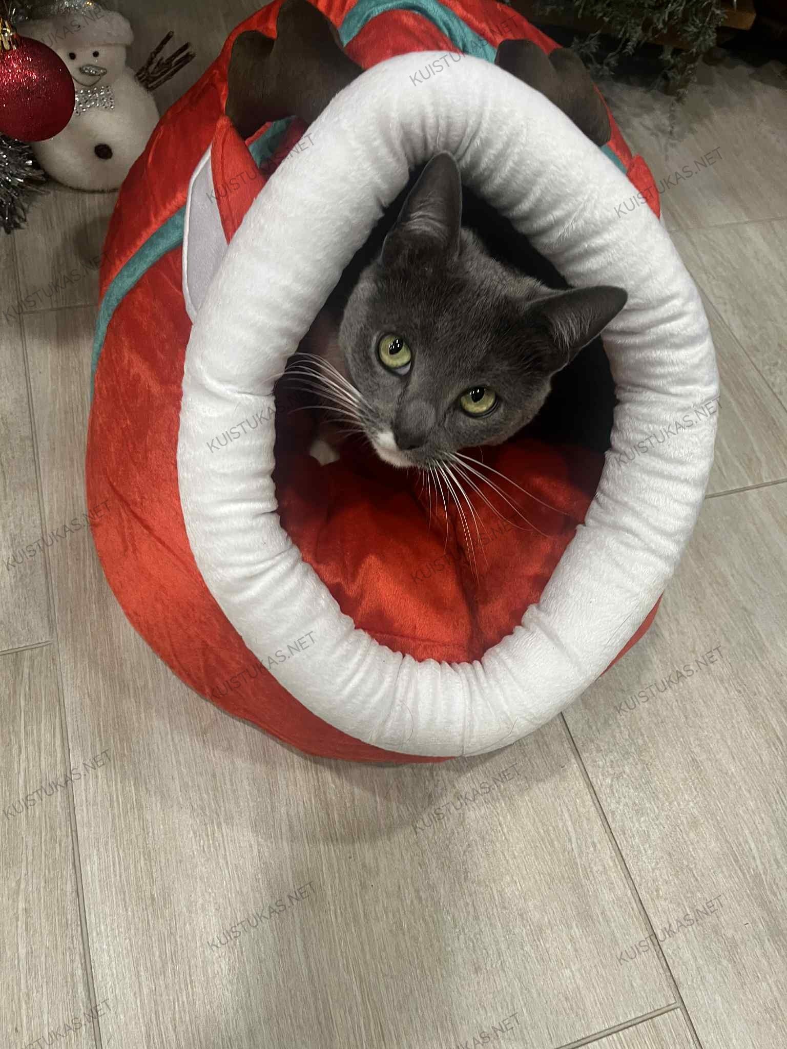 Kalėdinis gultas augintiniams - Vaizdas 3