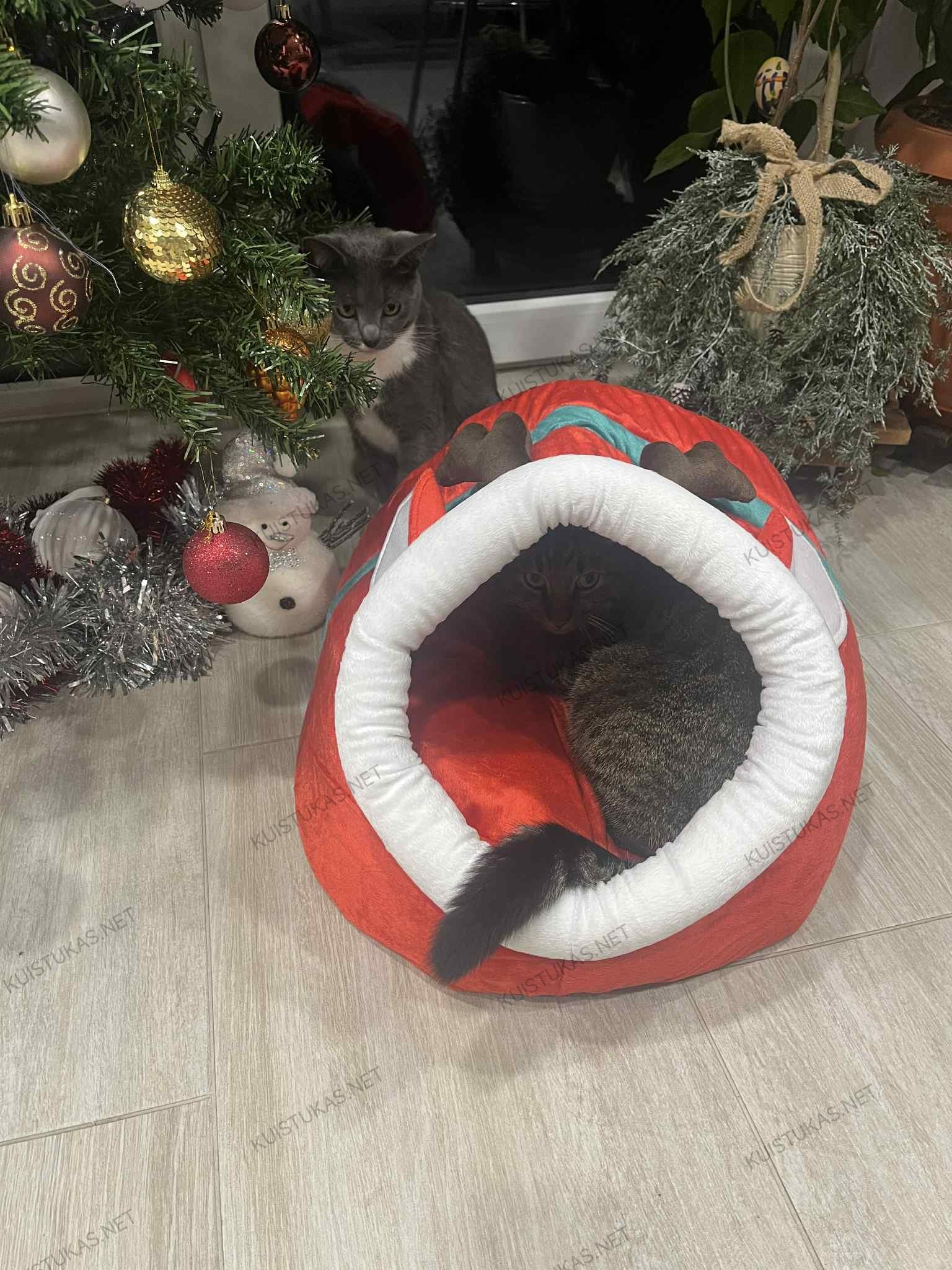 Kalėdinis gultas augintiniams - Vaizdas 5