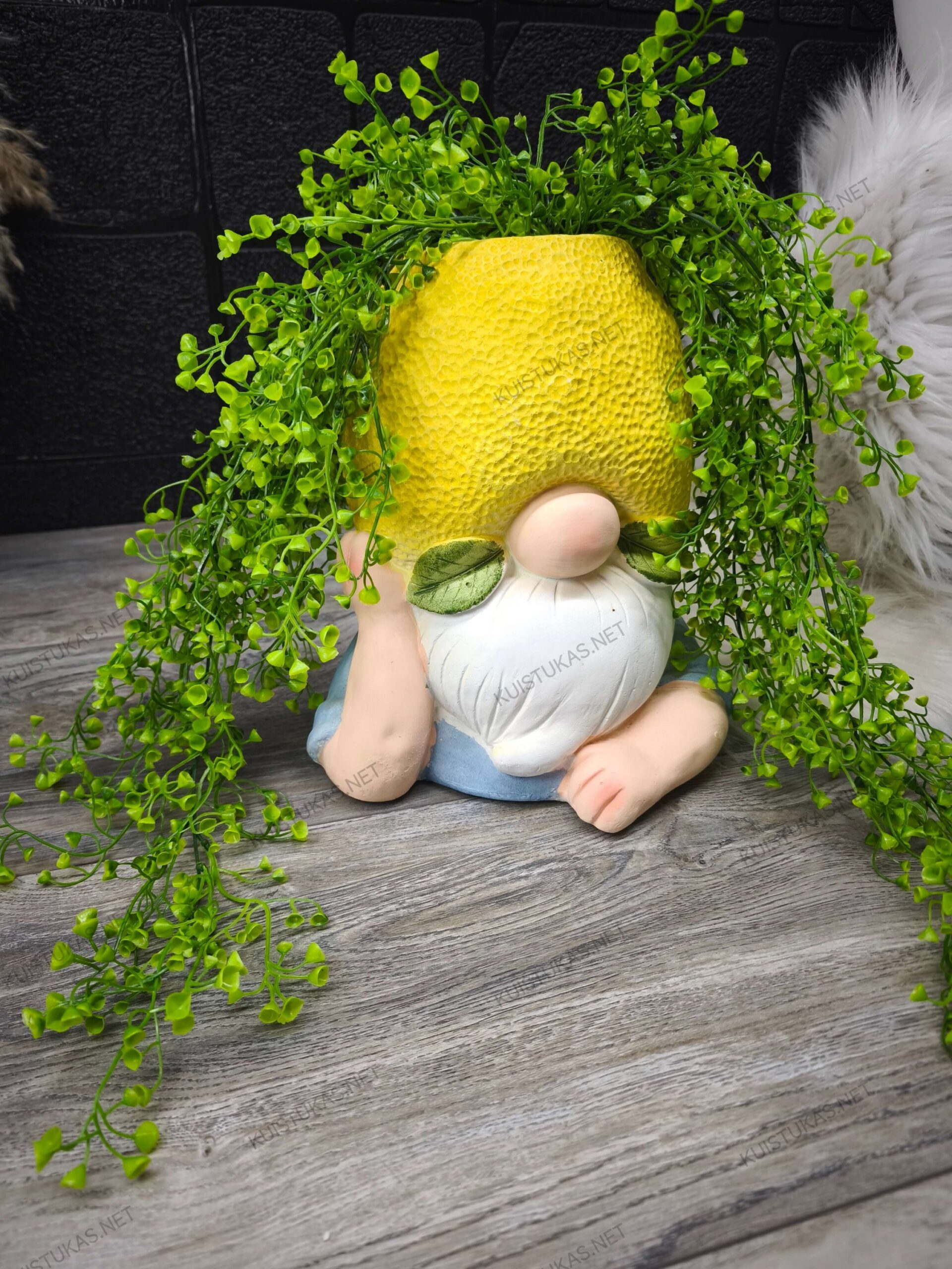 Dekoratyvinis vazonas 'Sunny Child' - Vaizdas 4