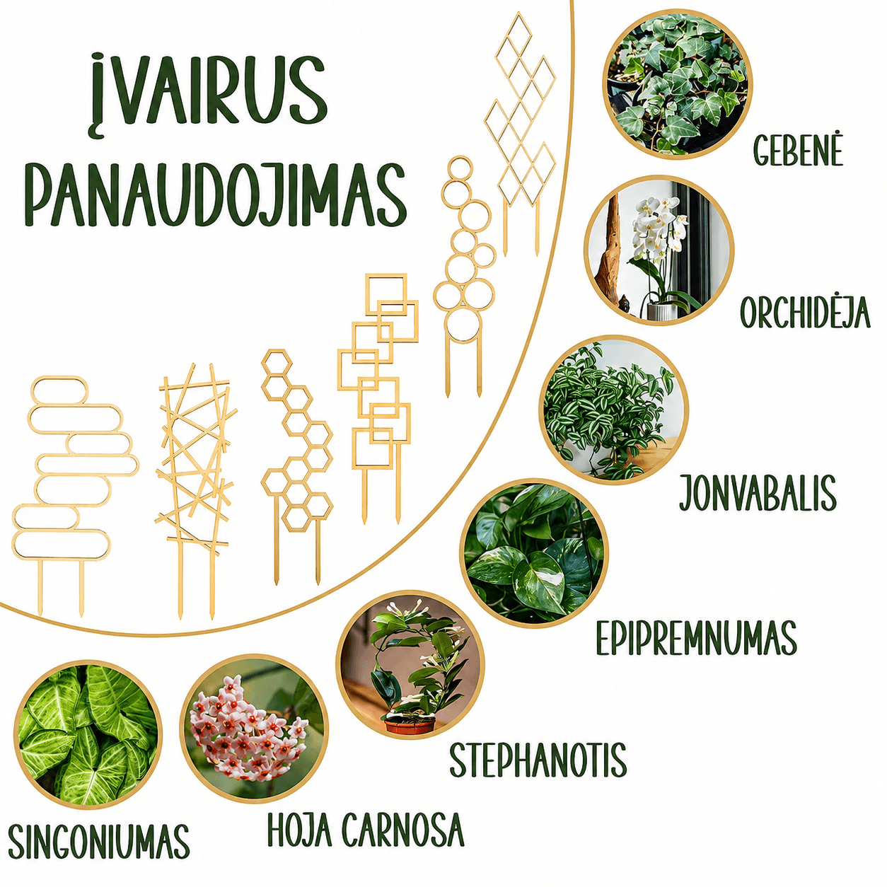 Medinės augalų atramos, 3vnt - Vaizdas 6