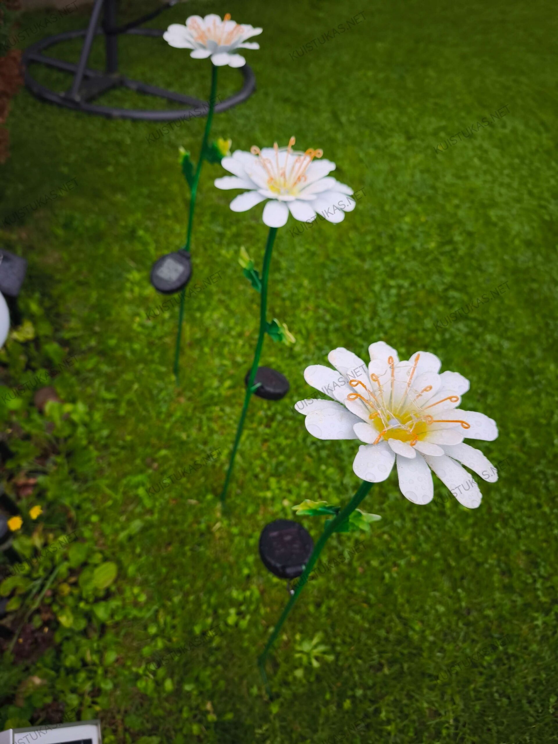 Saulės energijos LED sodo dekoracija „Daisy“ - Vaizdas 8