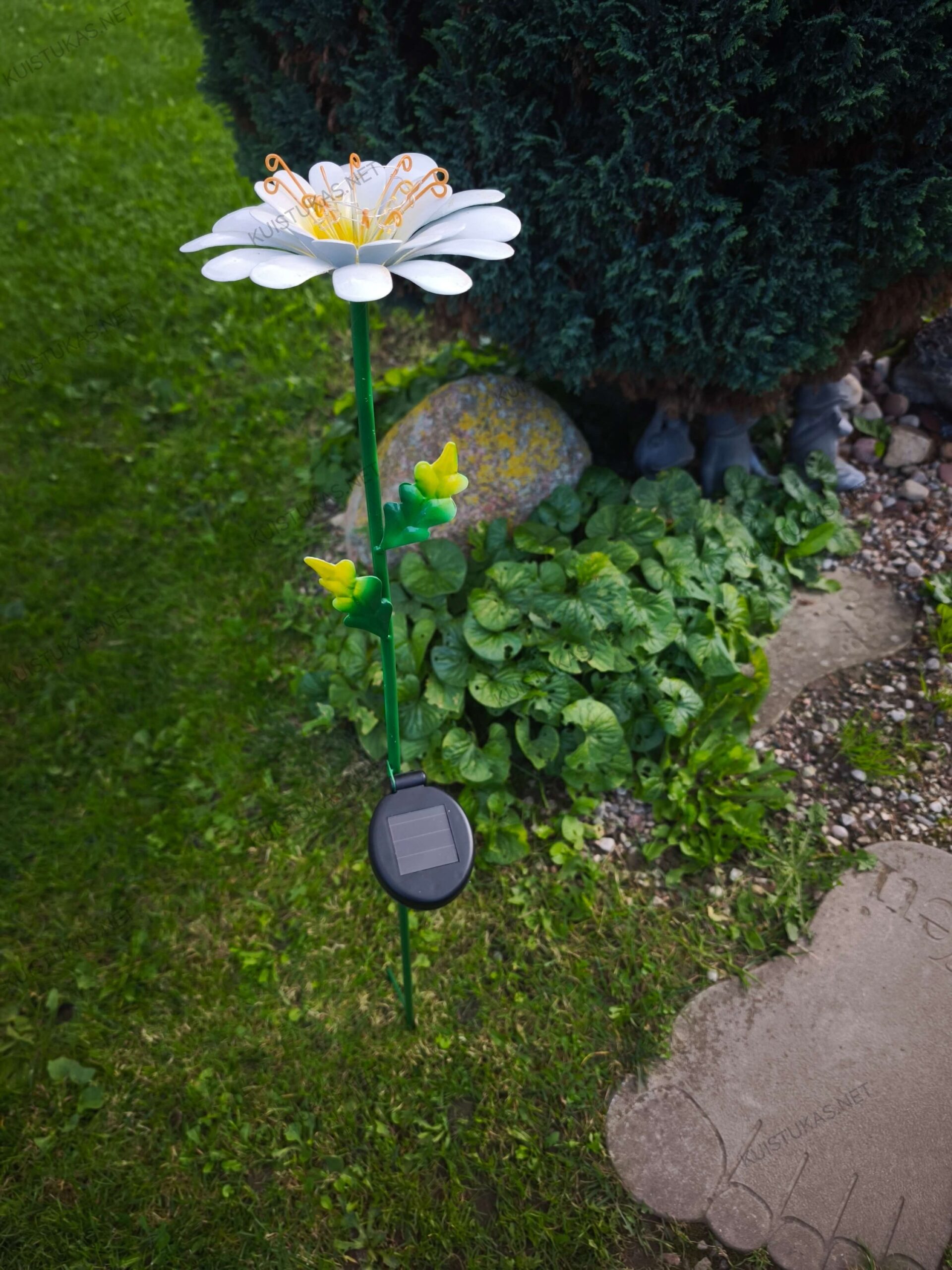 Saulės energijos LED sodo dekoracija „Daisy“ - Vaizdas 7
