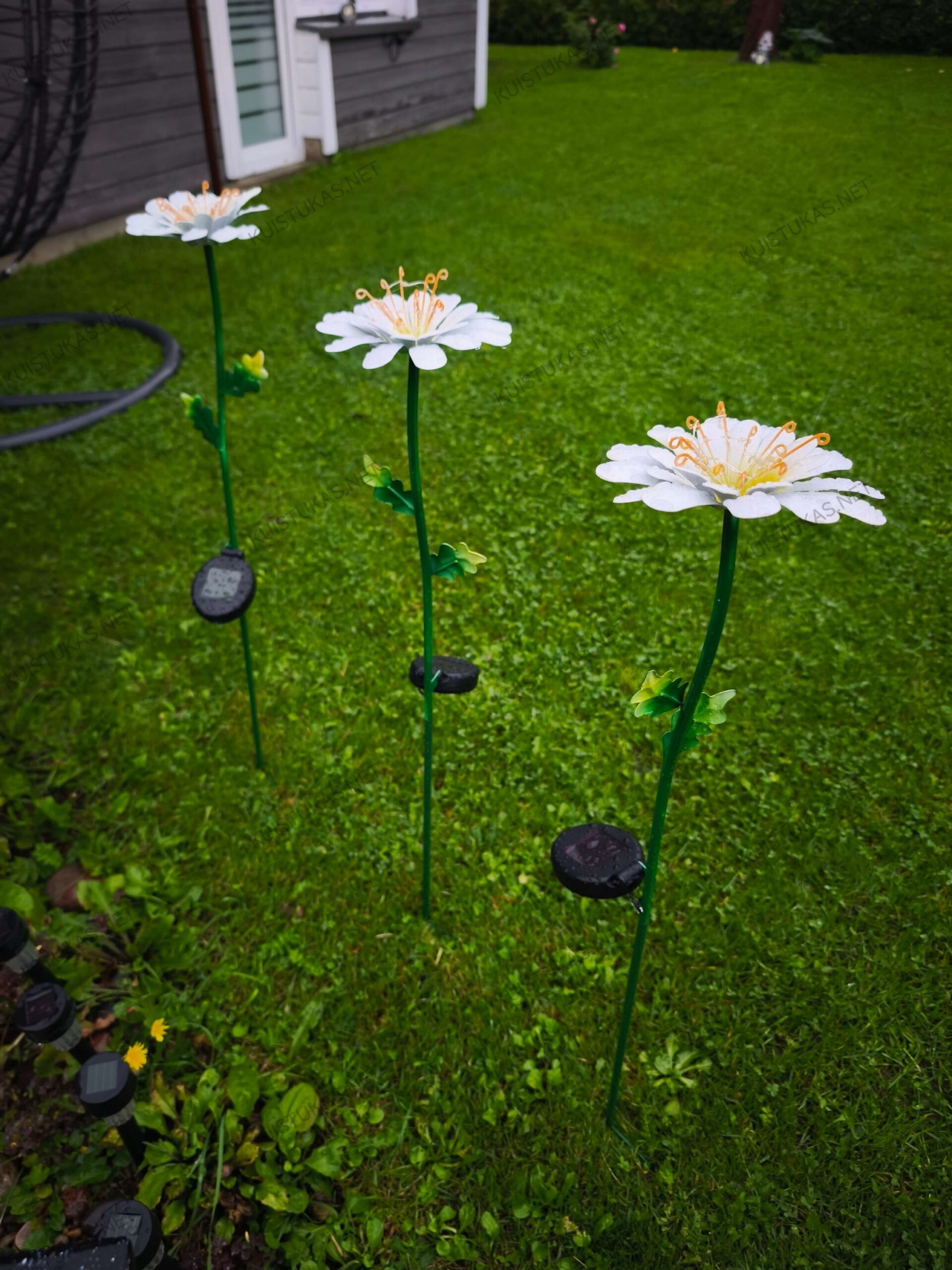 Saulės energijos LED sodo dekoracija „Daisy“ - Vaizdas 9